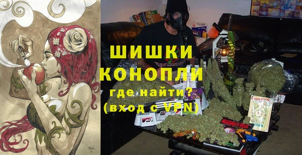 spice Абинск